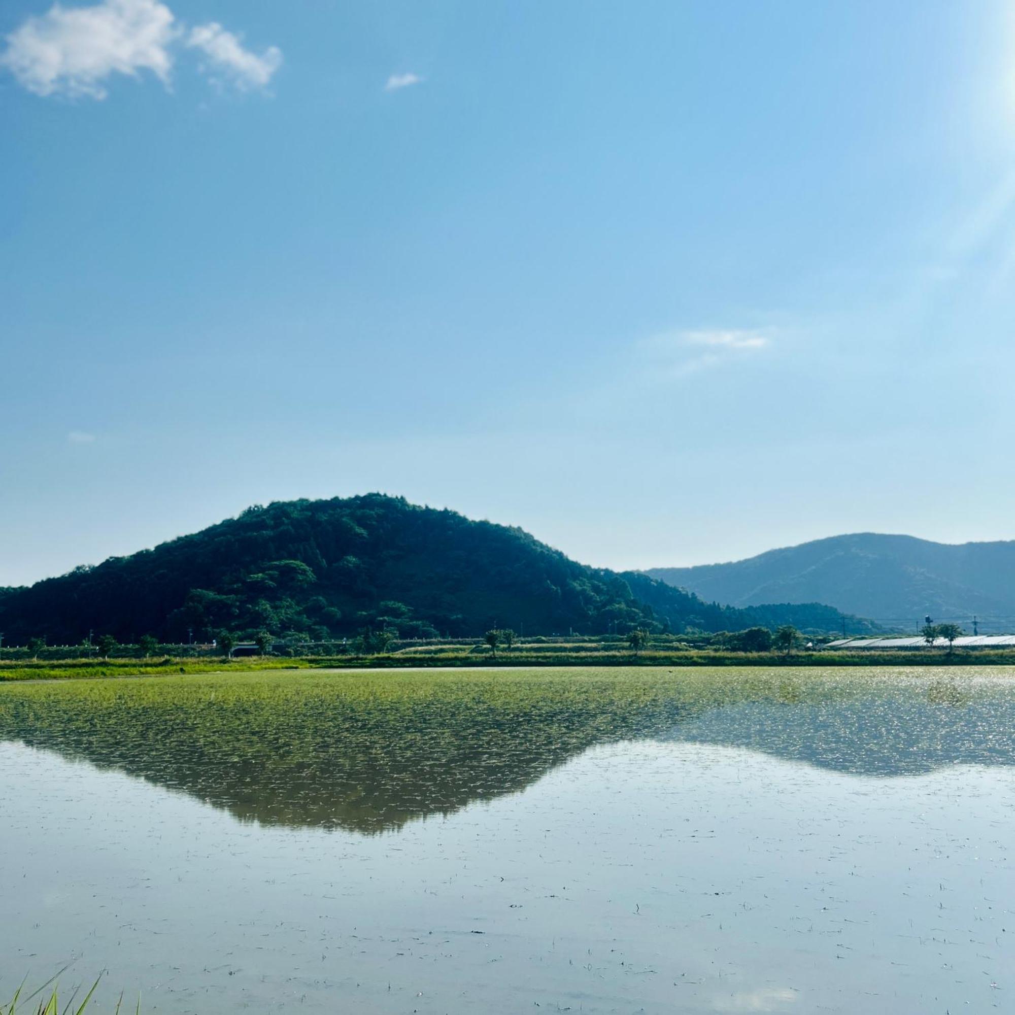 湖北 寺の宿-去-来-現ko-Rai-Gen Нагахама Экстерьер фото